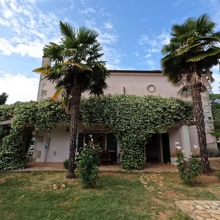 Mit Privatpool Fuer 6 Personen Ca, 165 M Sup2 In Kosinozici, Istrien Und Umgebung Holiday home