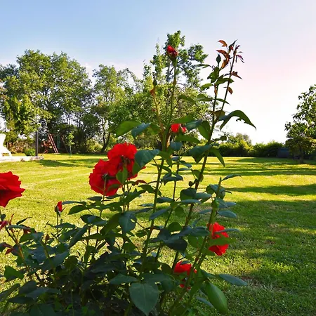 Holiday home Mit Privatpool Fuer 6 Personen Ca, 165 M Sup2 In Kosinozici, Istrien Und Umgebung