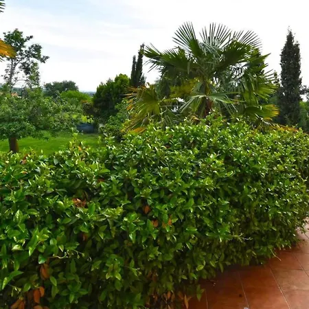 Holiday home Mit Privatpool Fuer 6 Personen Ca, 165 M Sup2 In Kosinozici, Istrien Und Umgebung